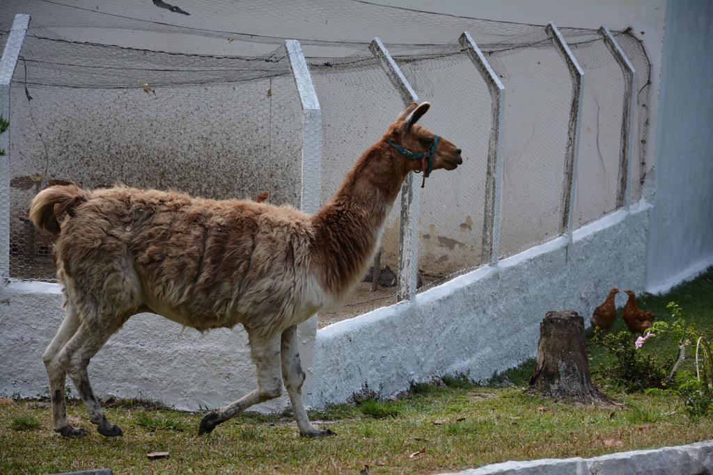 Quilombo Hotel Fazenda União dos Palmares Dış mekan fotoğraf
