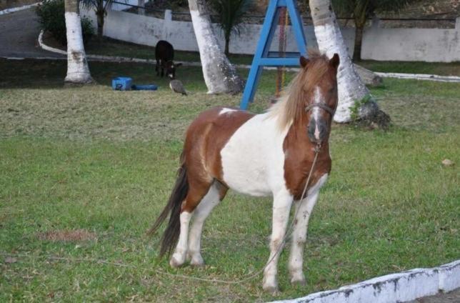 Quilombo Hotel Fazenda União dos Palmares Dış mekan fotoğraf